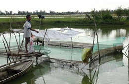 Hơn 664 tỷ đồng cho thoát lũ và phát triển sinh kế tại Đồng Tháp 